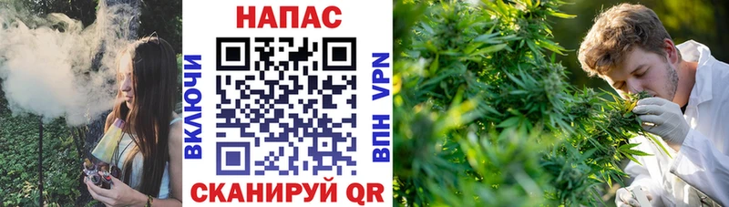 где можно купить   Пойковский  Бошки Шишки план 